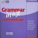 어학연수 추천 문법책 - Grammar In Use 이미지