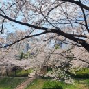 구의유수지수변공원 네이버블로그
