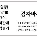 감자바우민박 이미지