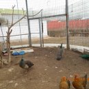 부산외국어대학교체육관 이미지