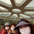 수원산뷔페 이미지