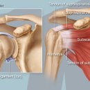 태전드림정형외과의원 이미지