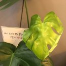 발레(초급) 이미지