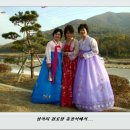 성곡리 경로당 Daum카페