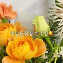샬롬플라워 - 강동구 양재대로134길 29 | 샬롬플라워