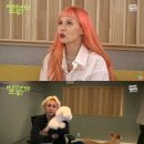 현아의 작업실 이미지