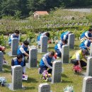 임실호국원 전민일보