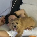 멋쟁이토마토