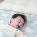 청해어린이집 | 아기 사계절 일체형 어린이집 낮잠이불세트 유트러스 모달 듀라론 후기