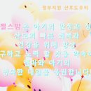 보람병원 산후조리원 이미지