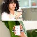 가비포차 이미지