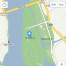 도그아일랜드 이미지