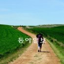 생활명상(동아일보) / 명상보다 더 좋은 빛명상 이미지