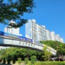 신나무실육교 이미지