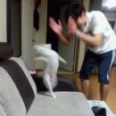 밥보다왕만두 이미지