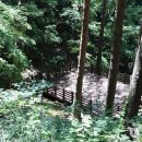 국립대관령치유의숲 이미지