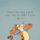 큐브 태권도장 이미지