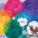 목화병원 이미지