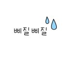 똥강아지몰