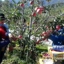 인동네거리(인동치안센터 앞) 이미지