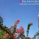 몽마르뜨 이미지