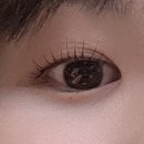 펄즈데뷰티 | [낙성대] 펄즈데뷰티에서 속눈썹펌 후기