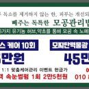 신동-46 이미지