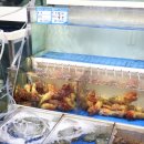 전라도미가 | 노량진가성비횟집 소주 4병 부르는 노량진 전라상회 모둠회, 회포장 후기