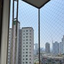 비둘기길 | 반짝클린 솔직후기 전국 비둘기퇴치 드디어 제대로 된 곳 찾았어요