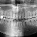 본정치과의원 이미지