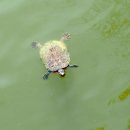 소풍정원2 이미지