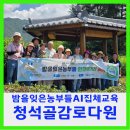 밤을 잊은 농부들 브레인(마스터) AI 집체교육 청석골감로다원에서