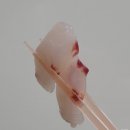 강서구청 | 회뜨는중 강서구청점 혼술회 배달 후기