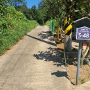 들성로-5 이미지