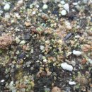 김종군농장 이미지