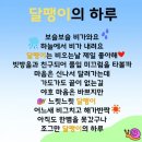 달팽이의하루 이미지