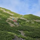 남알프스 - 한효용 0817-1. 센조고야-기타자와도계-코모레비산소 이미지