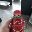 세븐스 크리미널 댄스 스튜디오 | 인천국제공항 + 인천공항 자기부상철도 탑승후기(2017/08/28)
