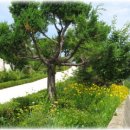 팔매숲공원 이미지