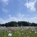 항몽유적지 이미지