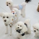 위례유치원 이미지