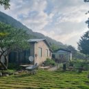 구담포레스트 이미지