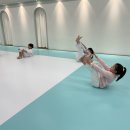 리더 유도짐 이미지