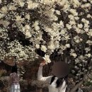 충혼탑 주차장 주변 이미지