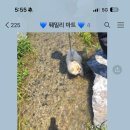 그루멍캡틴 이미지