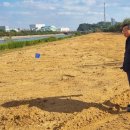 용원파크 이미지