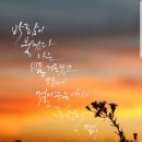 수채캘리그라피 오후반 이미지