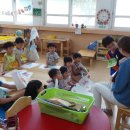 봉산초교 유치원 이미지