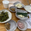 [부산 돼지국밥 맛집] 사상 합천 돼지국밥 줄서서 먹어본 후기