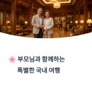 티하우스키즈펜션 | ✨ 부모님 반응 최고였던 국내 숙소 BEST! 효도여행의 진짜 감동을 경험하다